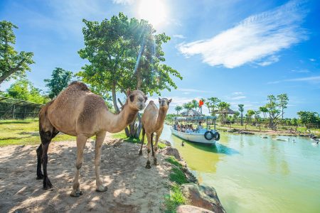 Daily Tour VinWonder Nam Hội An