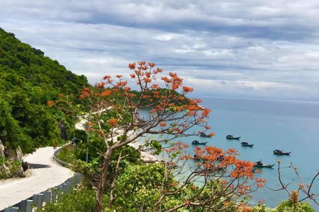Daily Tour Đảo ngọc Cù Lao Chàm